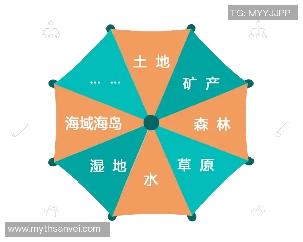 体育馆场地安全监测与评估体系构建及其应用研究探讨